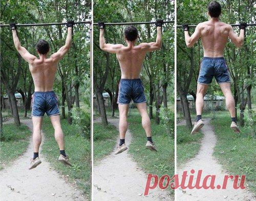 Как быстро вкачать мышцы спины в домашних условиях | О здоровье | Яндекс Дзен