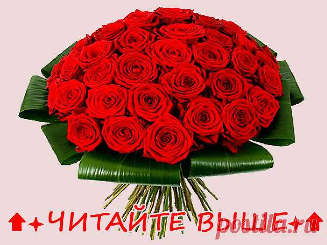ЗДРАВСТВУЙТЕ, ДРУЗЬЯ!