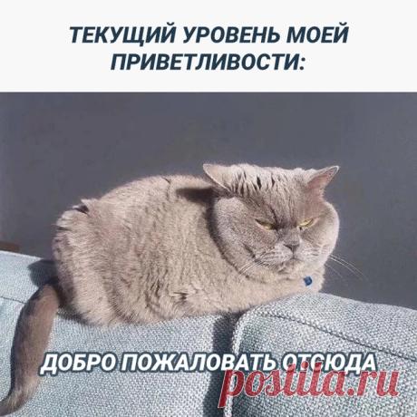 Доброе утро мир - 02.08.23 09:36 | Пикабу