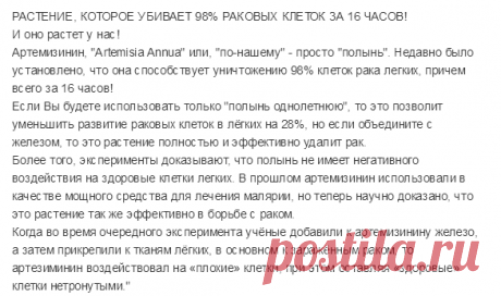 РАСТЕНИЕ, КОТОРОЕ УБИВАЕТ 98% РАКОВЫХ КЛЕТОК ЗА 16 ЧАСОВ!