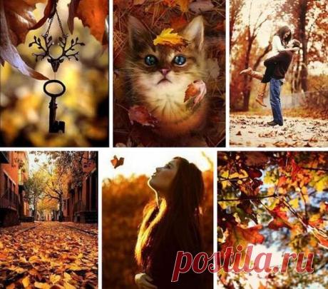 Ты пpocтo тaк впepёд идёшь... ЖЕНСКИЙ ПОСТ))