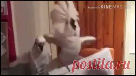 Мужчину видно сразу)))