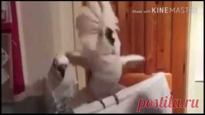 Мужчину видно сразу)))