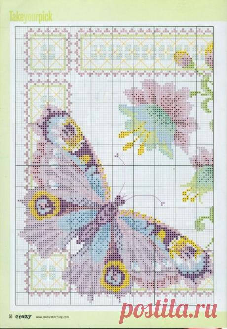 Gallery.ru / Фото #55 - ПЕРНАТЫЕ БАБОЧКИ - Fleur55555