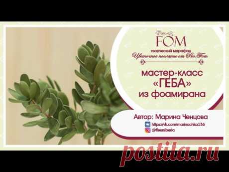 Продолжаем наш  творческий марафон "Цветочное послание от Pro.FOM"!!! 

Итак, мастер-класс "Геба (Hebe)". Автор Марина Ченцова. 

https://www.youtube.com/watch?v=RSS4r0L7WxY
Показать полностью…