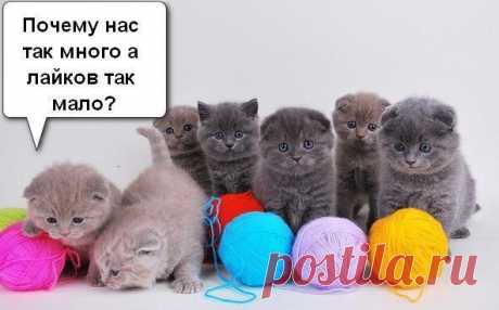 Игорь