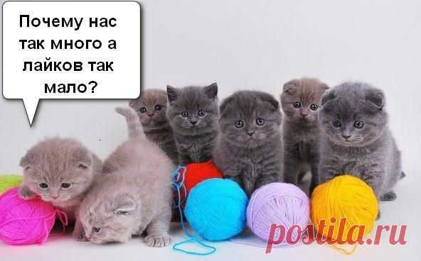 Игорь