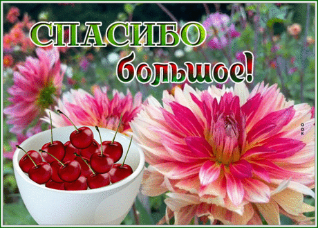 Картинка спасибо большое с вишней и цветами