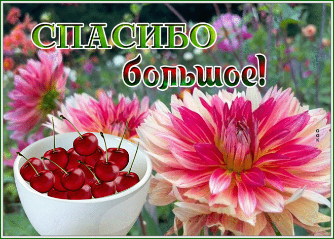 Картинка спасибо большое с вишней и цветами