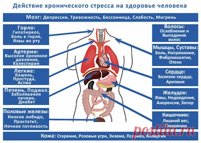 Вредна ли мастурбация у мужчин, польза онанизма, последствия