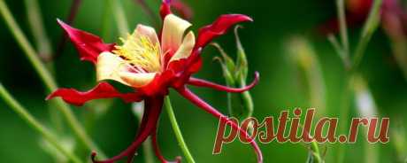 LunaPic | Бесплатный Интернет Photo Editor