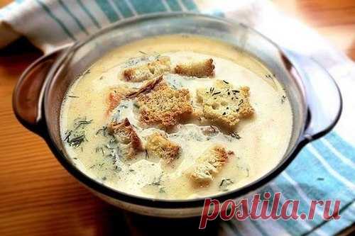 Французский сырный суп с курицей, рецепт — Вкусо.ру