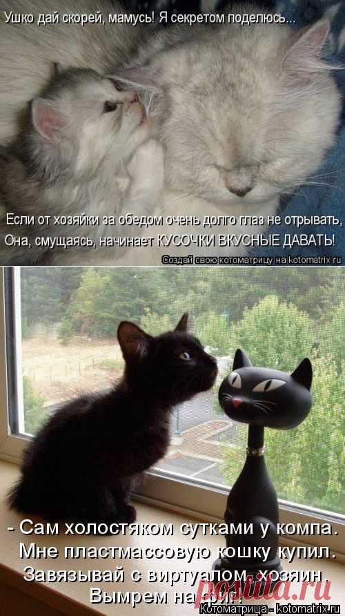 Мол, ничего не знаю, взяла да уплыла... | Дай лапку