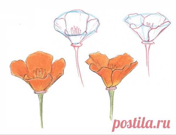 Последний этап — детали. Тут важна умеренность.