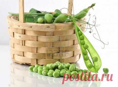 Польза и вред гороха.