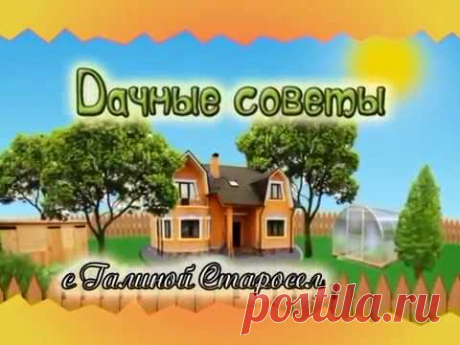 Дачные советы с Галиной Старосельцевой. Июнь 2016 - 23