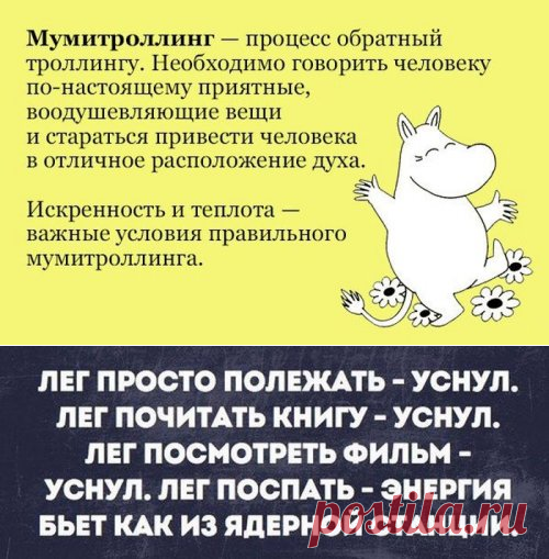 Прикольные картинки для всех (43 шт)