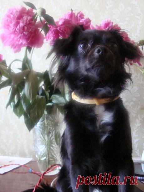 заставили позировать