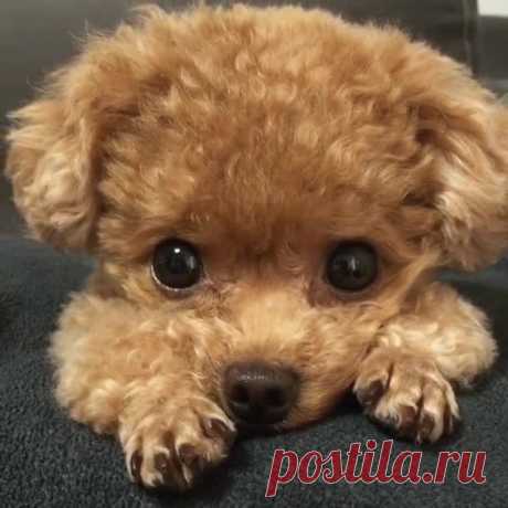 (2) Facebook