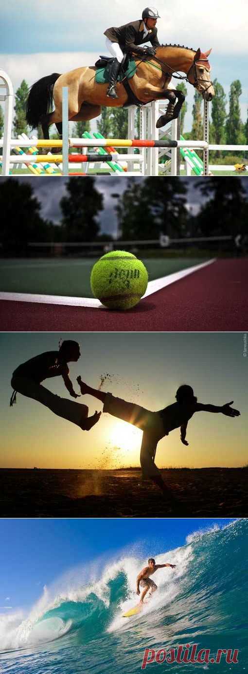 Авиамодельный спорт, Сноуборд, Зимнее плавание, Бокс. (1/1) - Спортивный форум. - Спортивный сайт