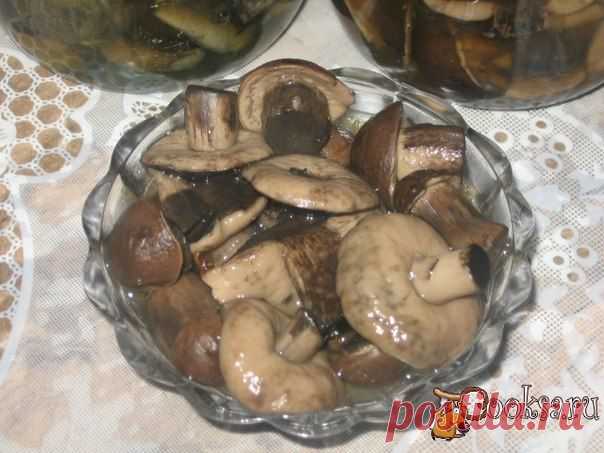 Поиск на Постиле: грибы