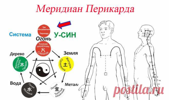 Меридиан (канал) перикарда - все активные точки