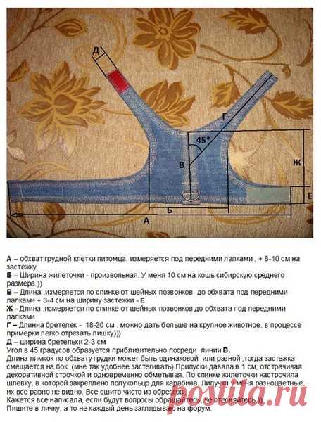 как сделать выкройку шлейки для йорка - 1 753 картинки. Поиск Mail.Ru
