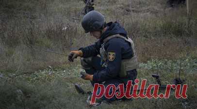 Великобритания планирует помочь Украине в обезвреживании боеприпасов и разминировании. МИД Великобритании намерен передать украинским властям наборы для обезвреживания боеприпасов взрывного действия, а также профинансировать проект по разминированию территории страны. Британское ведомство ищет поставщиков для реализации этих задач. С соответствующими тендерами ознакомился RT. Читать далее