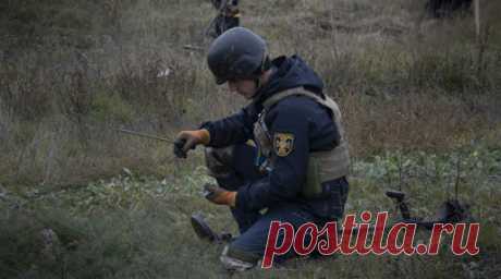 Великобритания планирует помочь Украине в обезвреживании боеприпасов и разминировании. МИД Великобритании намерен передать украинским властям наборы для обезвреживания боеприпасов взрывного действия, а также профинансировать проект по разминированию территории страны. Британское ведомство ищет поставщиков для реализации этих задач. С соответствующими тендерами ознакомился RT. Читать далее