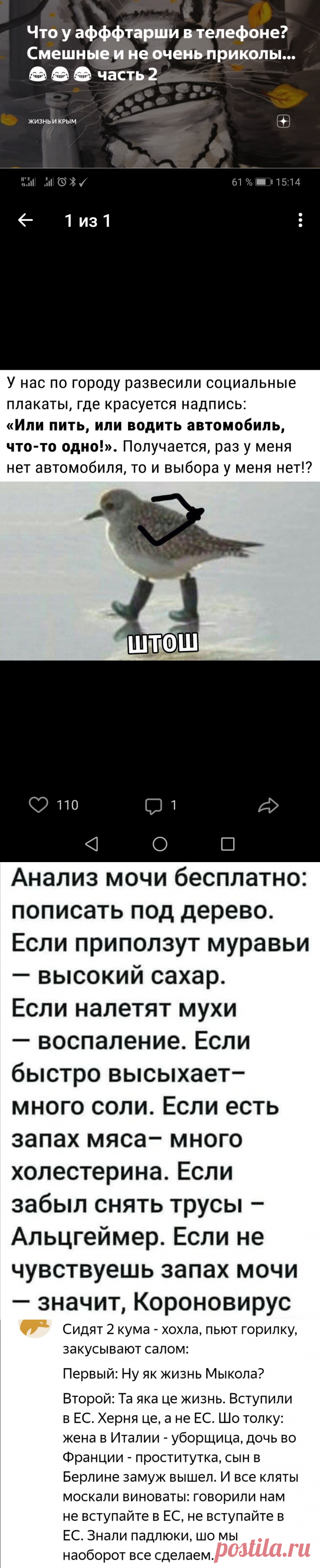 Что у афффтарши в телефоне? Смешные и не очень приколы...😂😂😂 часть 2 | жизнь и Крым | Яндекс Дзен