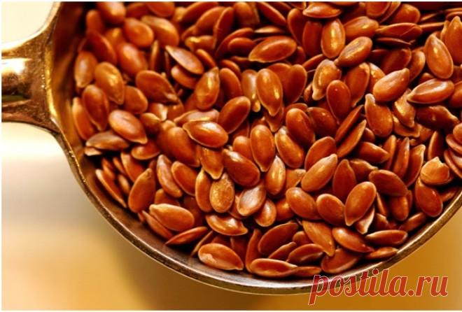 Невероятные факты о семени льна О растении с коротким названием «лен» | здоровье | Постила