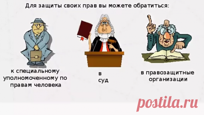 Отстаиваем свои права в магазине. Маска не для всех. | Antipat | Яндекс Дзен