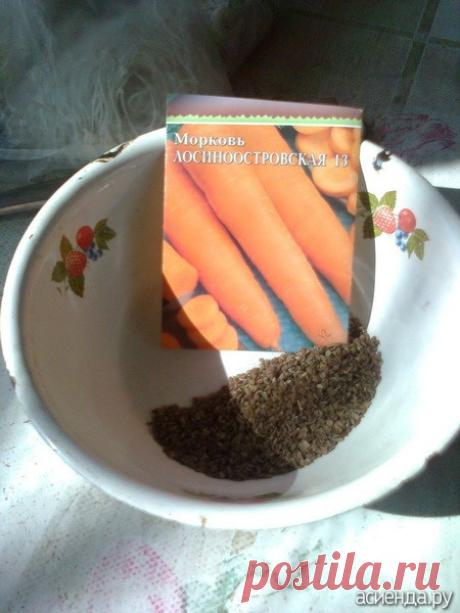 Мой опыт посадки мелких семян (морковь): Группа Практикум садовода и огородника