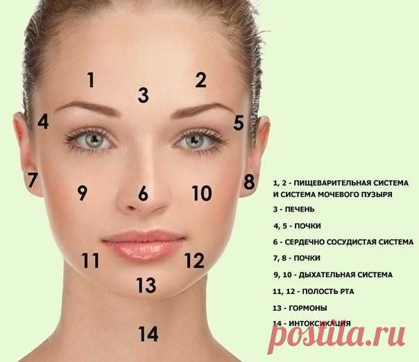 ДЛЯ ТЕХ КТО ДЕЛАЕТ МАССАЖ ЛИЦА! ПОЛЕЗНО ЗНАТЬ!