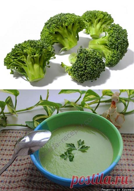 Капуста брокколи защитит от тысячи недугов | ПолонСил.ру - социальная сеть здоровья