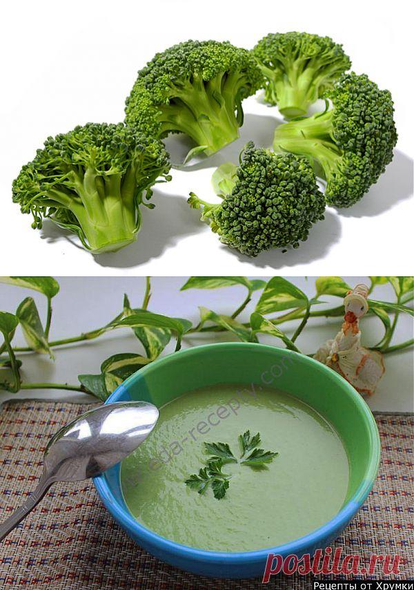 Капуста брокколи защитит от тысячи недугов | ПолонСил.ру - социальная сеть здоровья