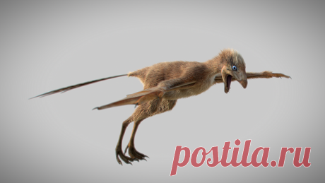 Описан необычный оперенный динозавр с крыльями, как у летучей мыши | Живой мир - природа