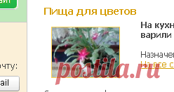 Пища для цветов
