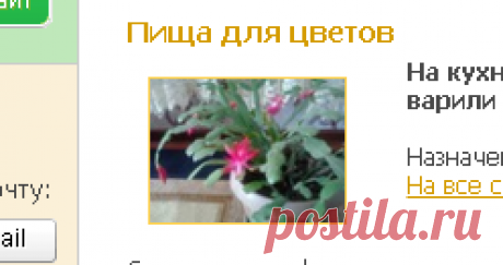 Пища для цветов