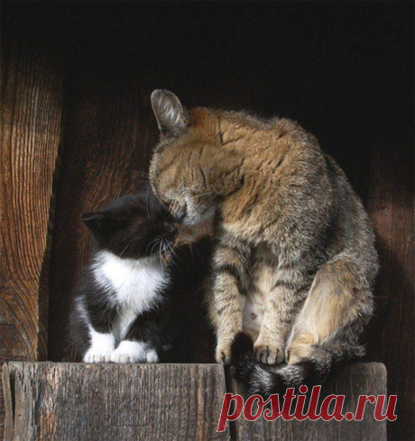 Новости