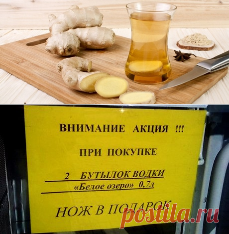 От чего помогает настойка имбиря на водке?