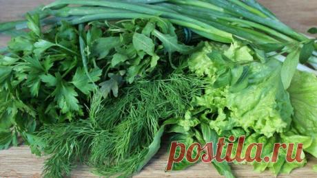 Самый бюджетный способ укрепить здоровье — это употребление зелени. Топ-5 самой полезной зелени от экспертов.
Многие из нас считают зелень украшением к основному блюду и не более того. Ну в лучшем случае, зелень становится дополнительным ингредиентом в салатах. Но всерьёз …
Читай дальше на сайте. Жми подробнее ➡