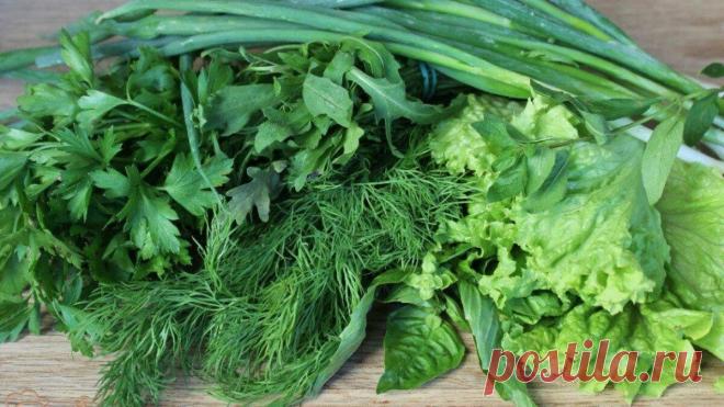 Самый бюджетный способ укрепить здоровье — это употребление зелени. Топ-5 самой полезной зелени от экспертов.
Многие из нас считают зелень украшением к основному блюду и не более того. Ну в лучшем случае, зелень становится дополнительным ингредиентом в салатах. Но всерьёз …
Читай дальше на сайте. Жми подробнее ➡