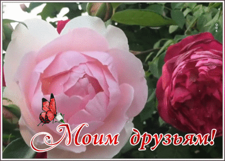 Открытка любимым друзьям