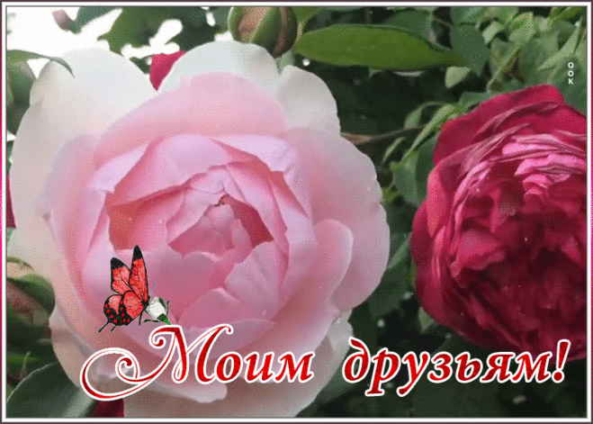 Открытка любимым друзьям