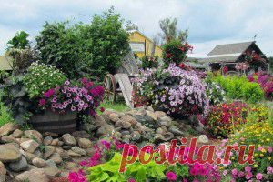 Красивые клумбы