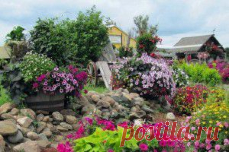 Красивые клумбы