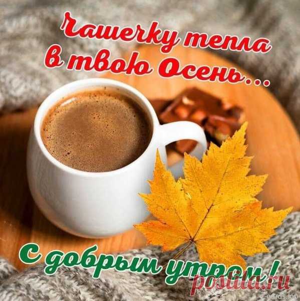 Картинки доброе утро осенние с пожеланиями красивые женщине (60 фото)