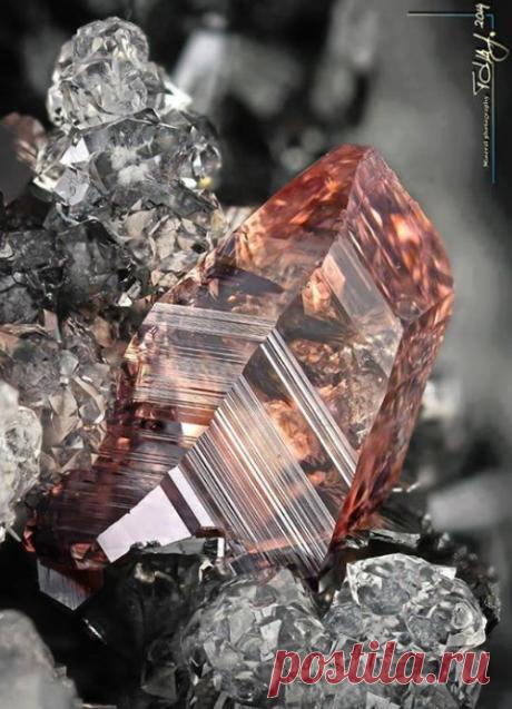 Peizaji - Scapes, Amazing Geologist Rhodochrosite Hotazel Mine -...