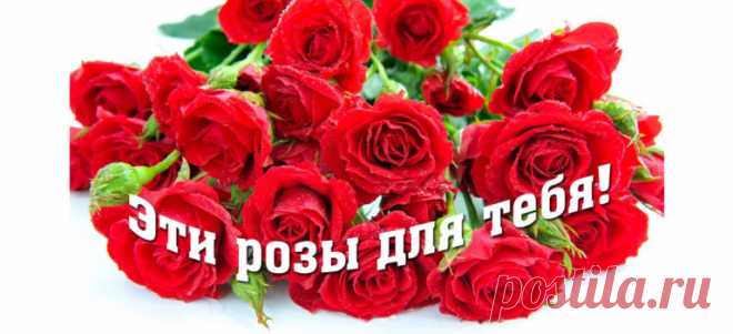 У ВАС 1 НОВОЕ СООБЩЕНИЕ ОТ… -